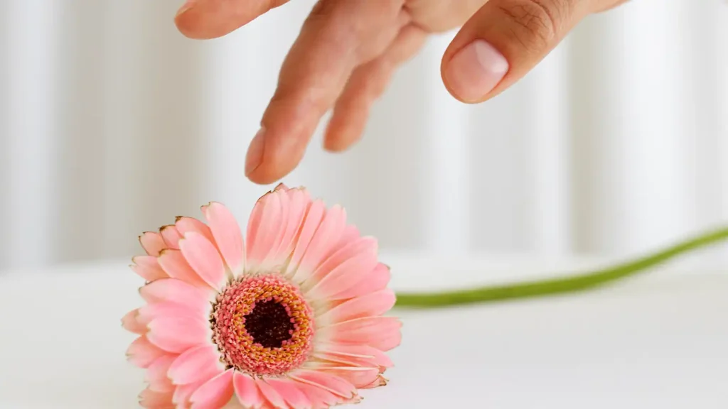 The Viora Sinclair RF technology is also a remarkable solution for post-pregnancy vaginal care.